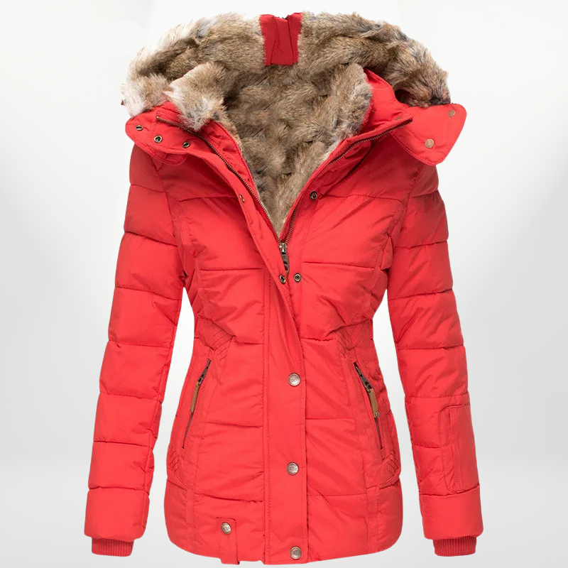 Modeva | Veste d'hiver